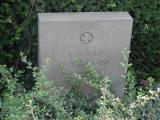 image of grave number 458320